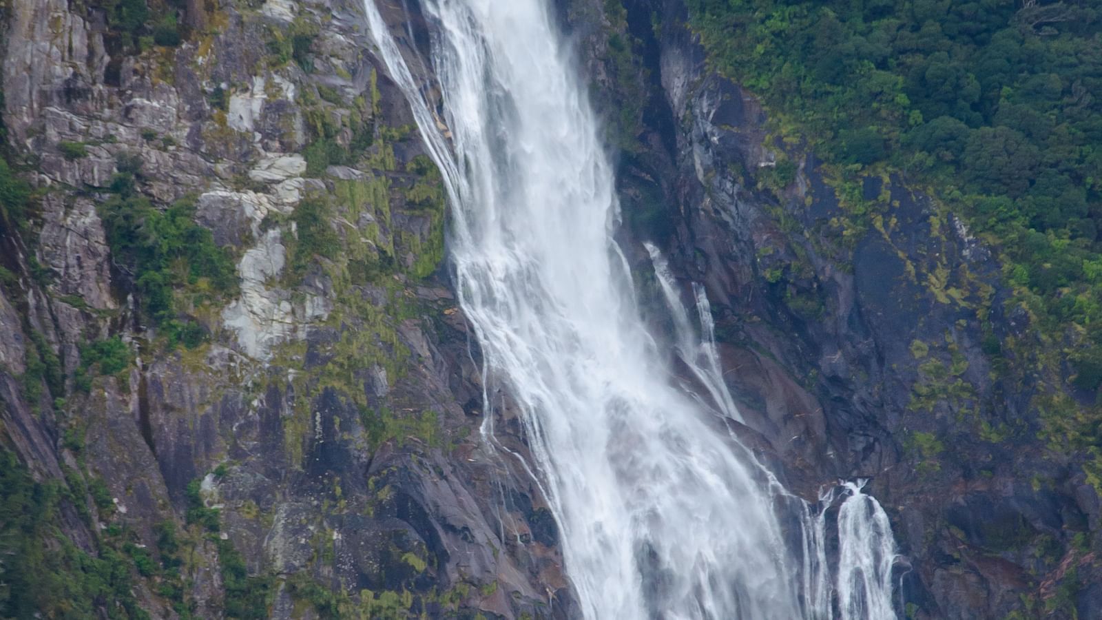 A tranquil waterfall cascading into a clear pool, surrounded by vibrant forest vegetation.