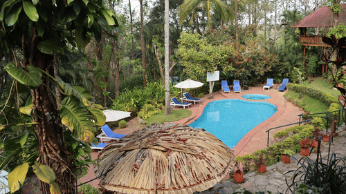 Tranquil Resort Wayanad 13