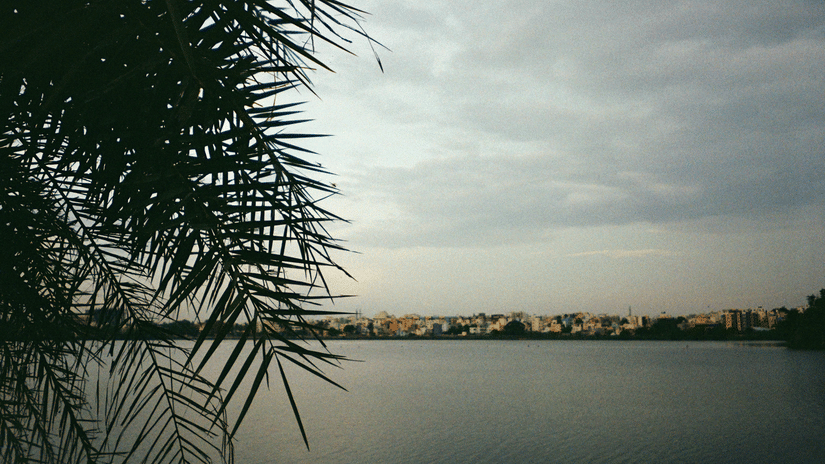 Calm waters of a lake framed by palm leaves under an overcast sky, creating a peaceful lakeside atmosphere