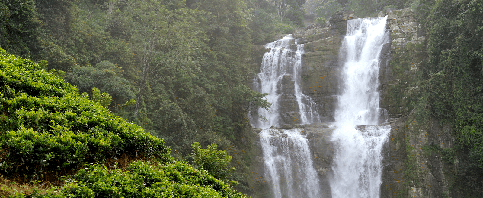 Majestic waterfall cascading through lush green forest, surrounded by thick vegetation.