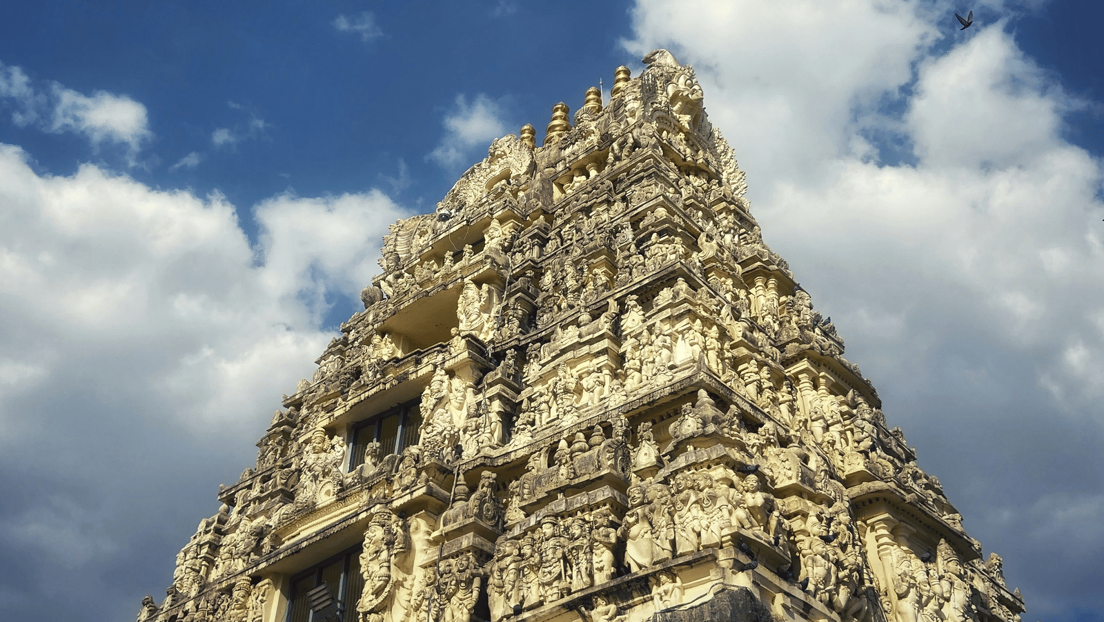 ankita-khante-kSJzZJp9fGc-unsplash