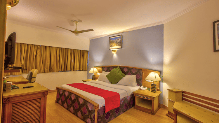 Piccadily Manali Suite - IMG 4957