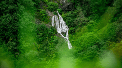 aerial view of a waterfall cascading down through the dense forest.