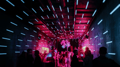 An overview of the entrance to a club with LED strips on the roof and people waiting