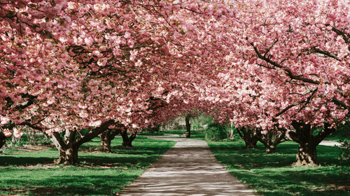 places to visit in Bangalore