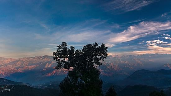 Dainkund