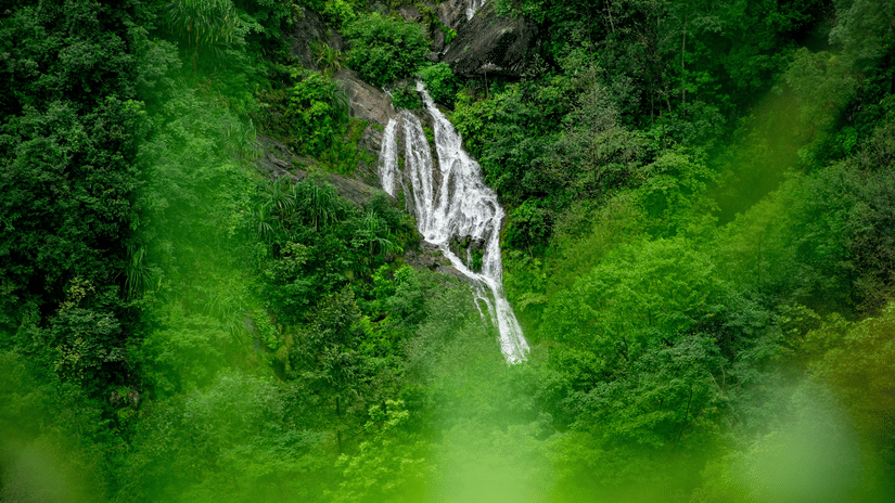 aerial view of a waterfall cascading down through the dense forest.