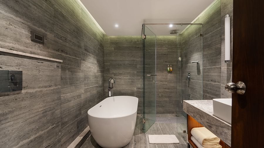Mysore Hotel New Photographs (11)