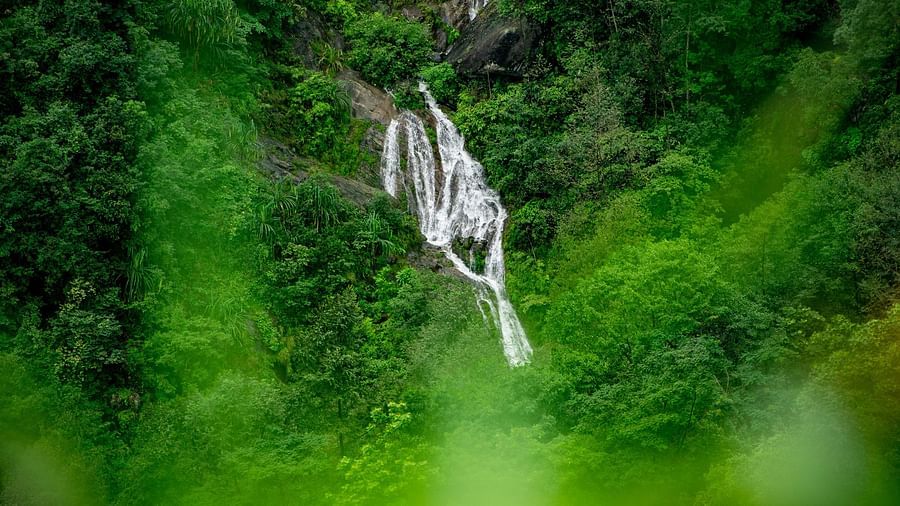 aerial view of a waterfall cascading down through the forest 
