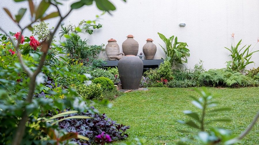 plants on OTP hotel lawn