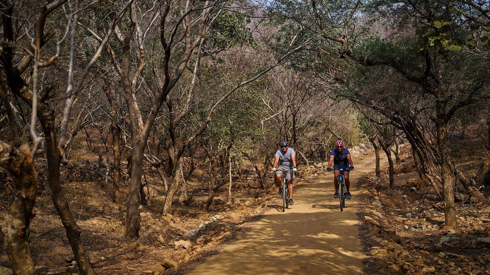 image of two people cycling through a dry forest at dev shree, deogarh