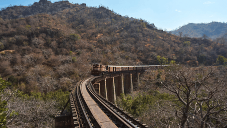 A train moves across a curved elevated track built over a forest. Hills covered in vegetation extend toward the horizon under a clear sky.