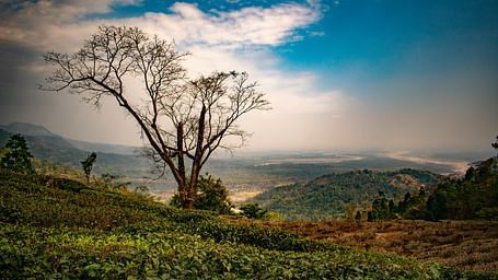 Hills and Valleys in Mirik