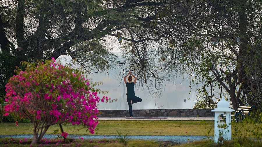 image of a person performing yoga asanas in a tranquil garden with dense canopy around and foggy background at dev shree, deogarh