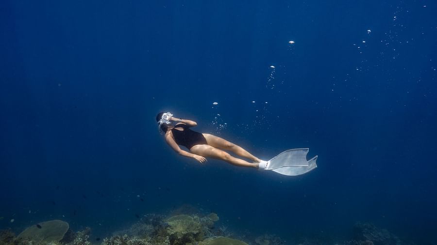 Free Diving 3