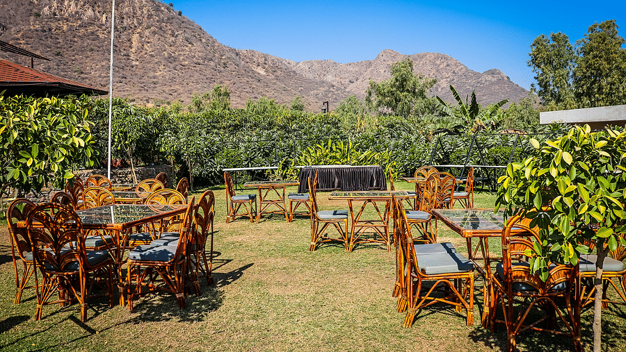 Bamboo Saa Resort & Spa, Udaipur Udaipur  Cinnamon Alfresco Dining