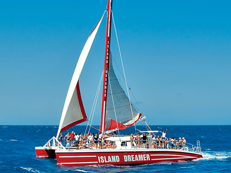 A red and white catamaran named Island Dreamer sailing on blue water with many passengers on deck under a clear sky.