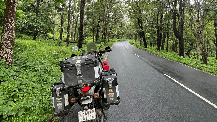 A fully loaded touring motorcycle parked on the shoulder of a wet road surrounded by lush forest trees.