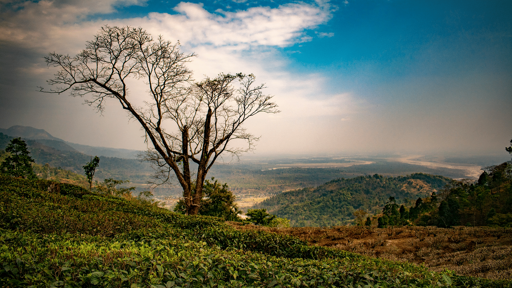 rabhimbh-bardhan-LAGTn1u0l7E-unsplash