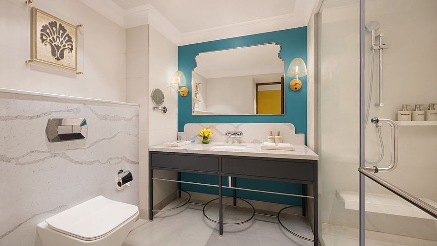 Dlx Royal Room Washroom