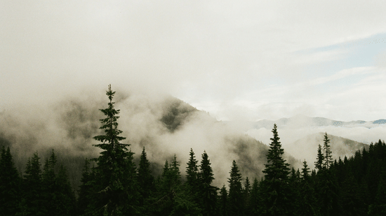 A mountain landscape with vibrant hues in the sky above a valley completely covered by a sea of clouds.