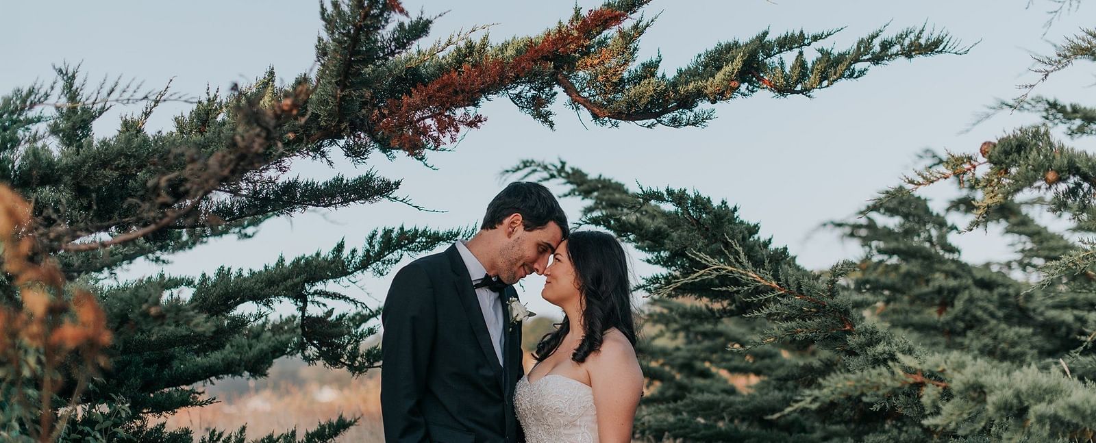 Bride and groom sharing a kiss, framed by lush greenery