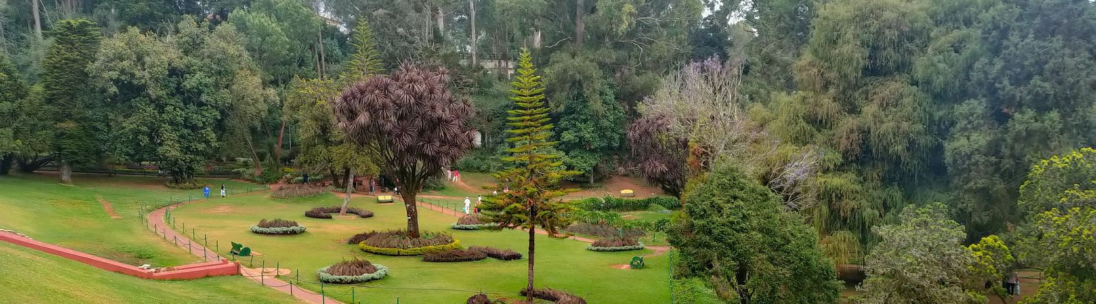 A view of lush green surroundings at Government Botanical Garden.