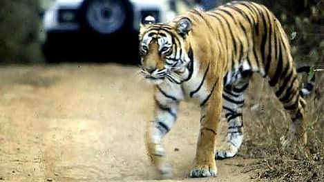 The Haveli Hari Ganga  Haridwar Location Jim Corbett National Park