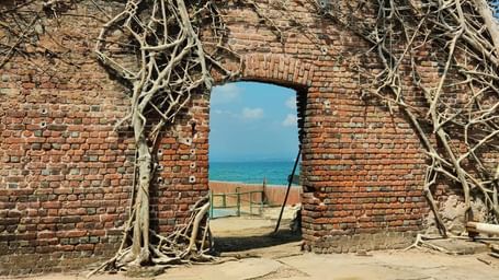 Ruins of a brick structure on Ross Island overgrown with large tree roots, with an arched doorway framing a view of the blue ocean and clear sky.