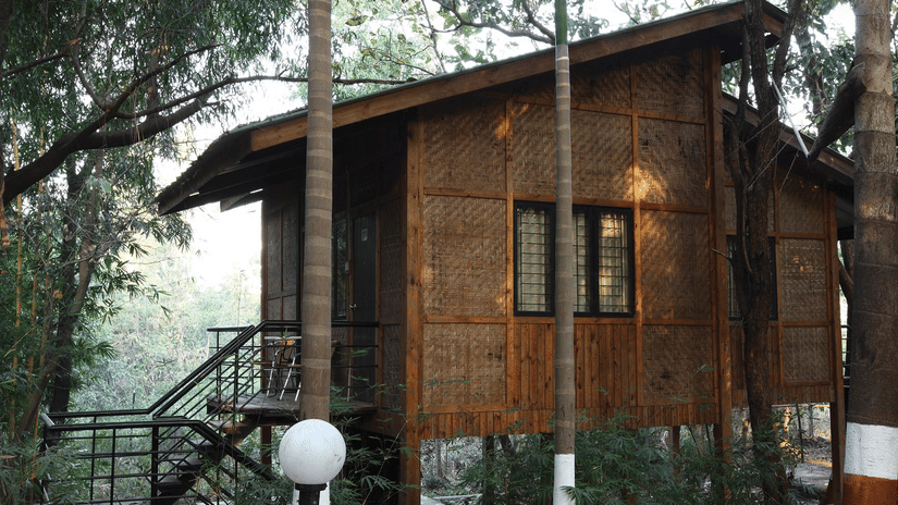 Exterior of a tree house at Nature Trails Sajan with trees surrounding it and stairs leading up to its entrance.