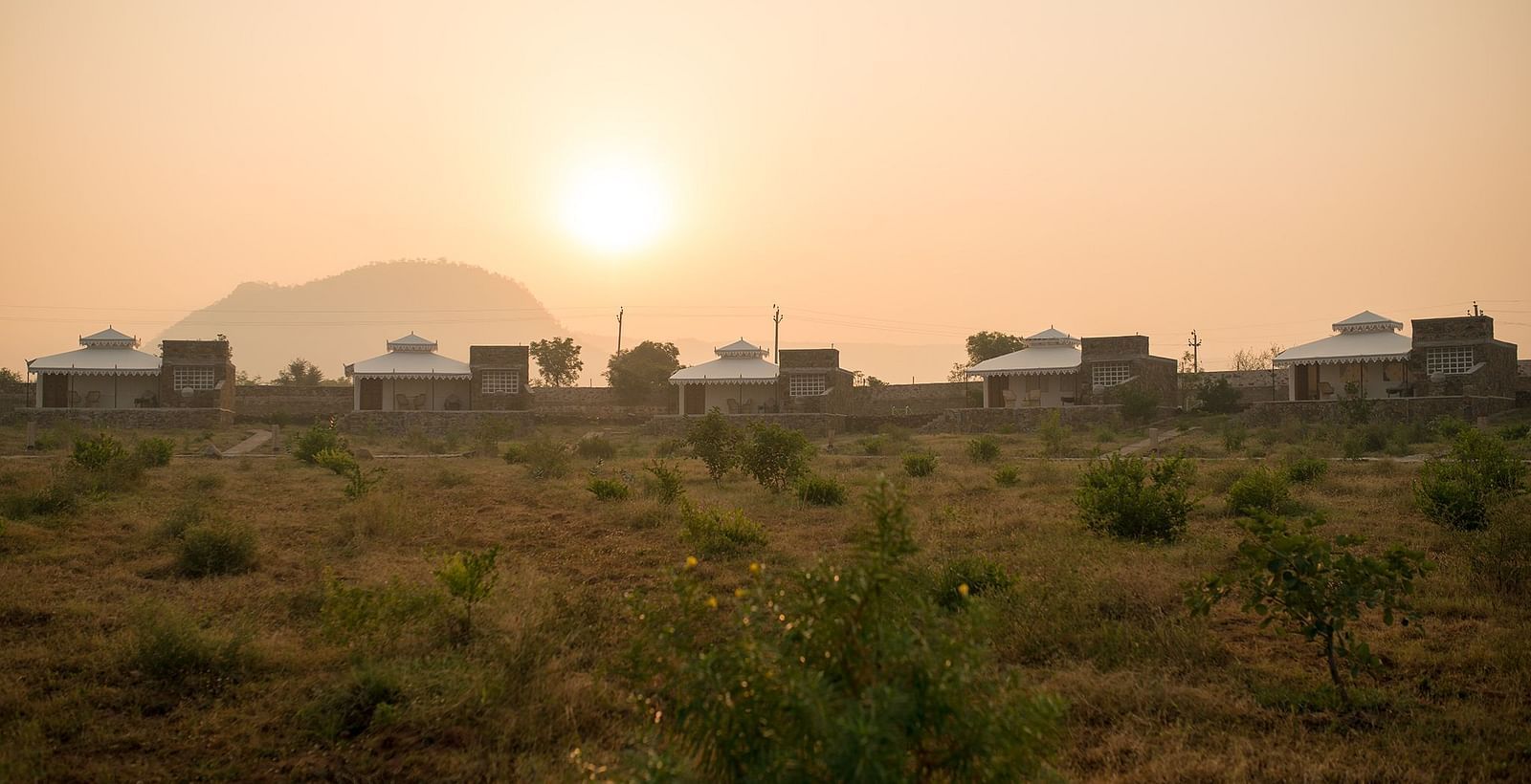  A facade view of a grassland with small shrubs and tents above it - Utsav Camp Sariska