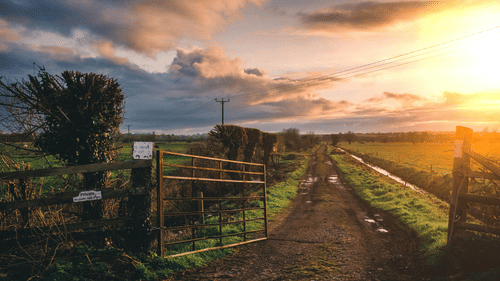 An image of the entrance to a farm with a beautiful sky at the time of sunset