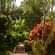 Young Island Resorts - Coorg Coorg Young Island Resorts Coorg 1
