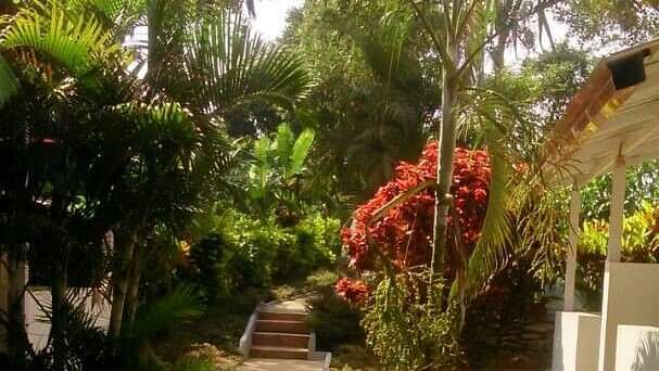 Young Island Resorts - Coorg Coorg Young Island Resorts Coorg 1