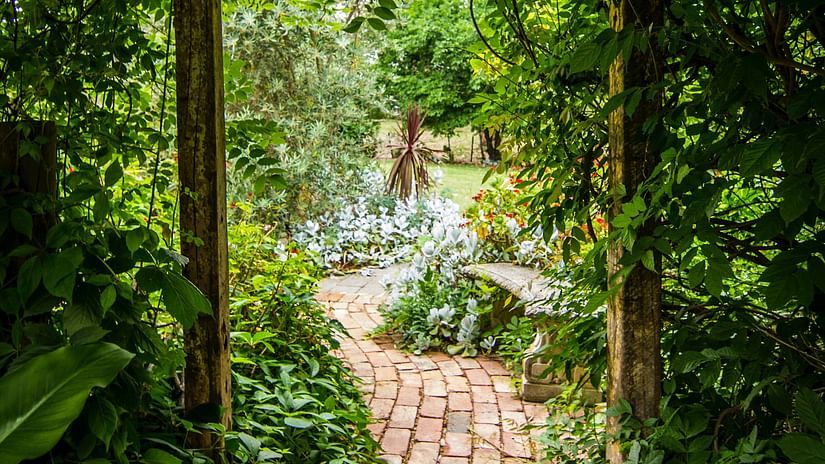 A stone pathway with greenery on either sides