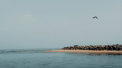 Calm blue sea stretches towards the horizon, with a rocky breakwater and lone bird creating a peaceful coastal scene