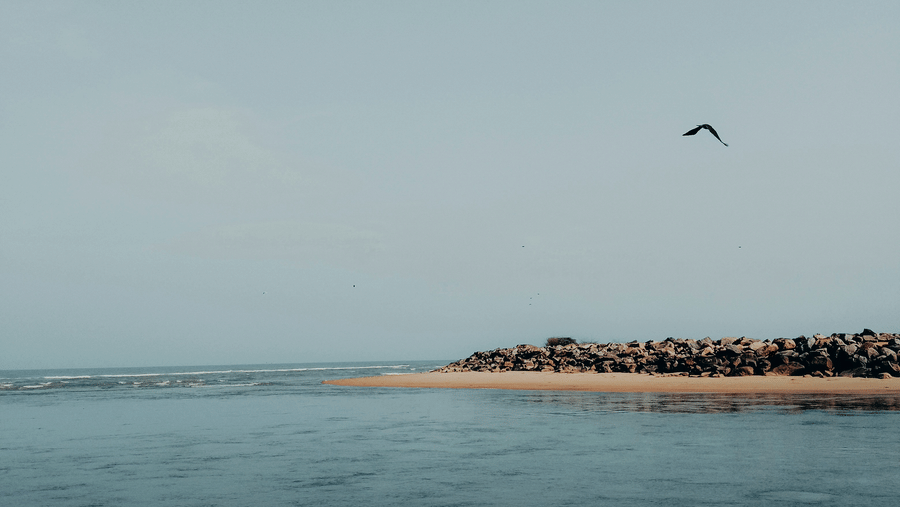 Calm blue sea stretches towards the horizon, with a rocky breakwater and lone bird creating a peaceful coastal scene