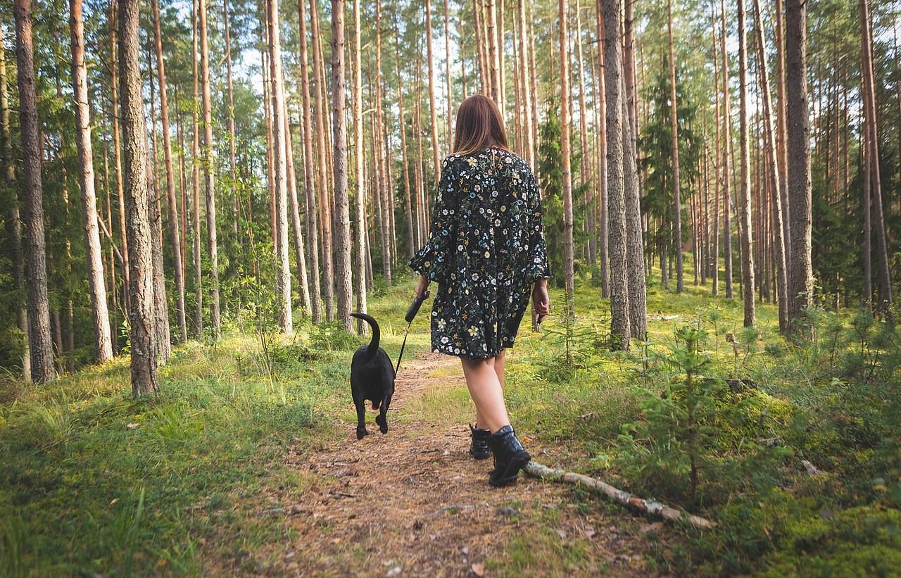 A woman walking a dog through a walk path within a forest holding thick canopy.