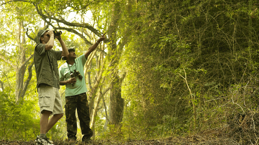 BirdWatching at Shaheen Bagh Resort one of the best things to do in Dehradun.