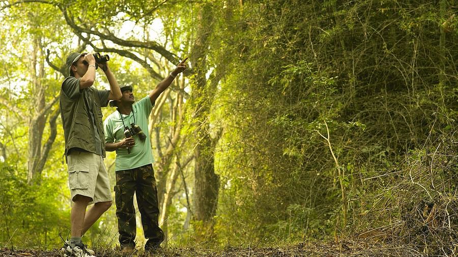 BirdWatching at Shaheen Bagh Resort Dehradun, Uttarakhand.