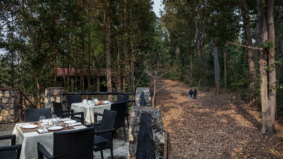 Another view of dining setup at Machaan dining at Saccharum Safari Lodge, Balaghat