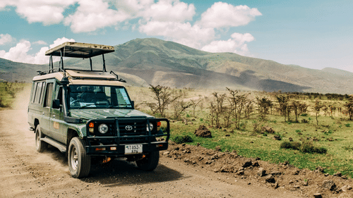 A safari jeep cruises through a dirt track, surrounded by open grasslands and distant rolling hills.