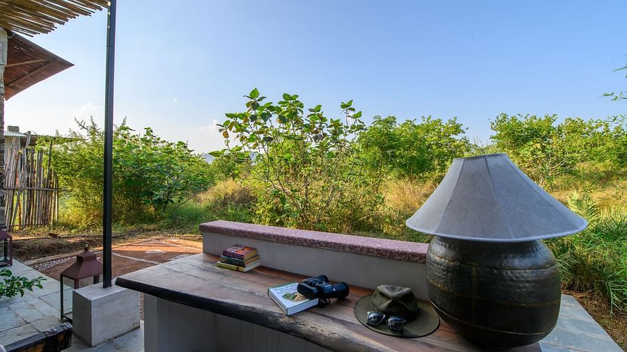 An image of an outdoor seating over viewing the greenery around Utsav Camp Sariska