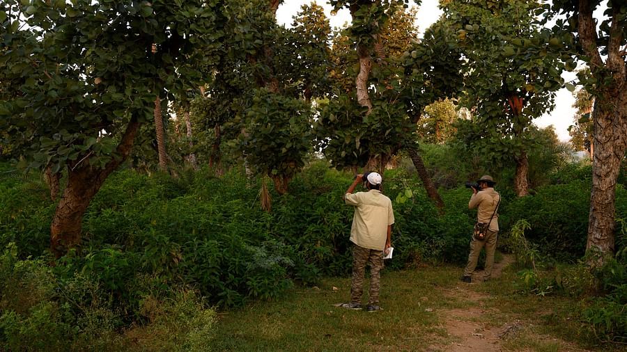 An image of two man walking through a green forest - Utsav Camp Sariska