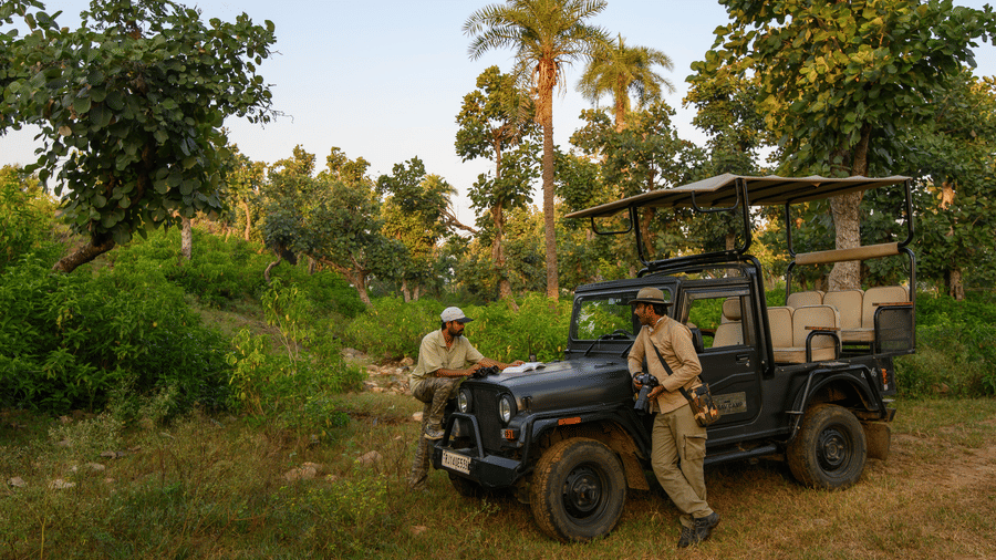 A view of two people standing near a jeep parked amidst the jungle at Utsav Camp Sariska.