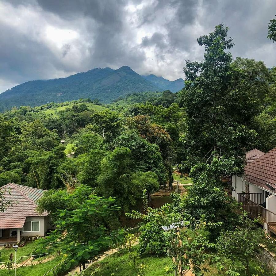 A mountain view features trees and a cloudy sky, showcasing a natural landscape.