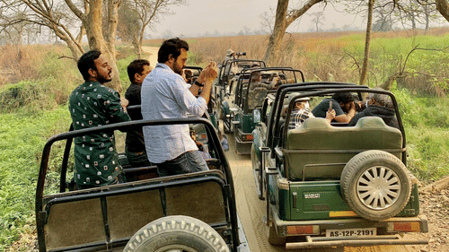 People going for forest safari in a jeep with trees in view at Gir national park