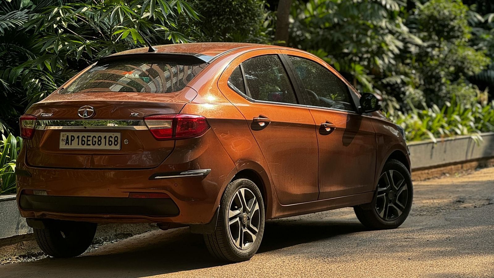 A rear view of a car parked next to the building with plants along the sides.