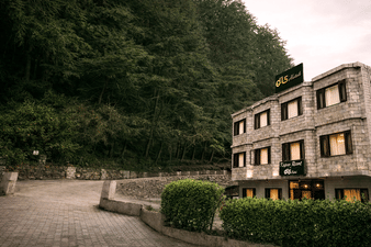 DLS Kapoor Resort, Manali
