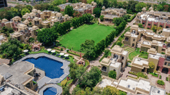 Lush garden birds eye view